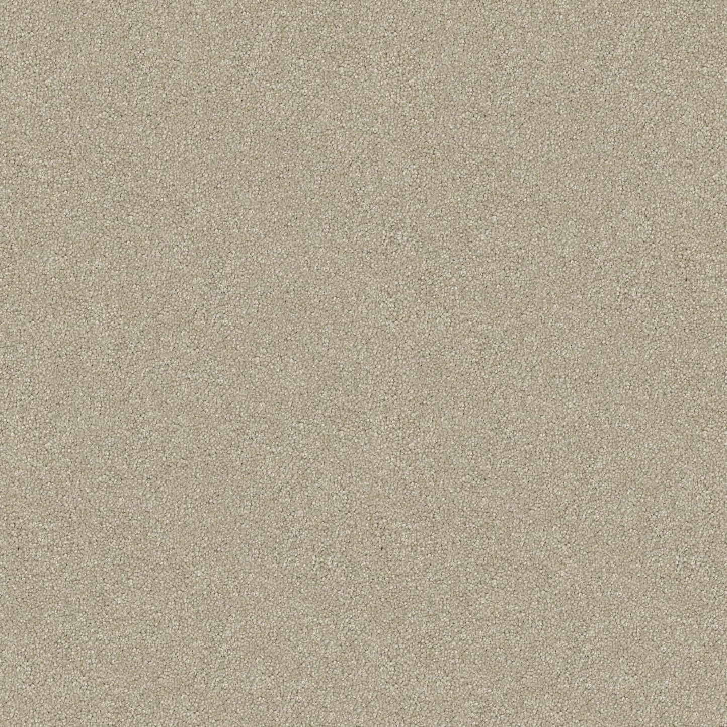 Tivoli carpet in Creme