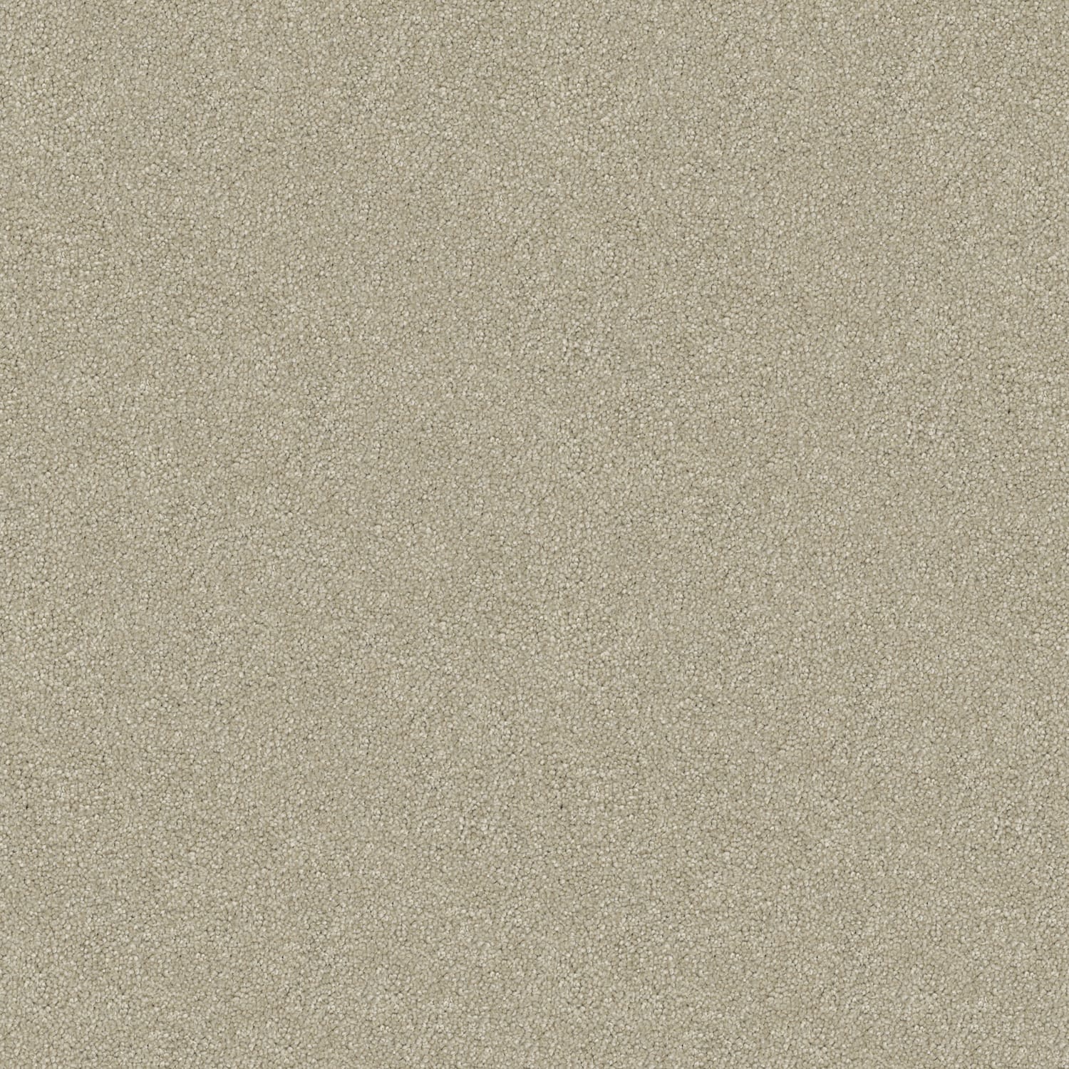 Tivoli carpet in Creme