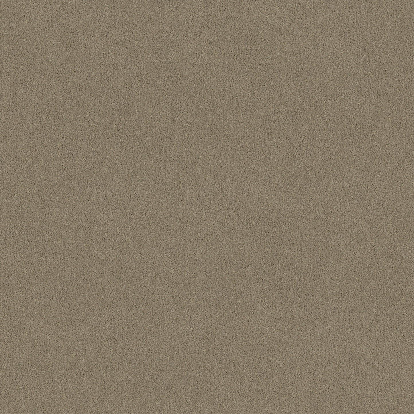 Knights Ridge carpet in Percival