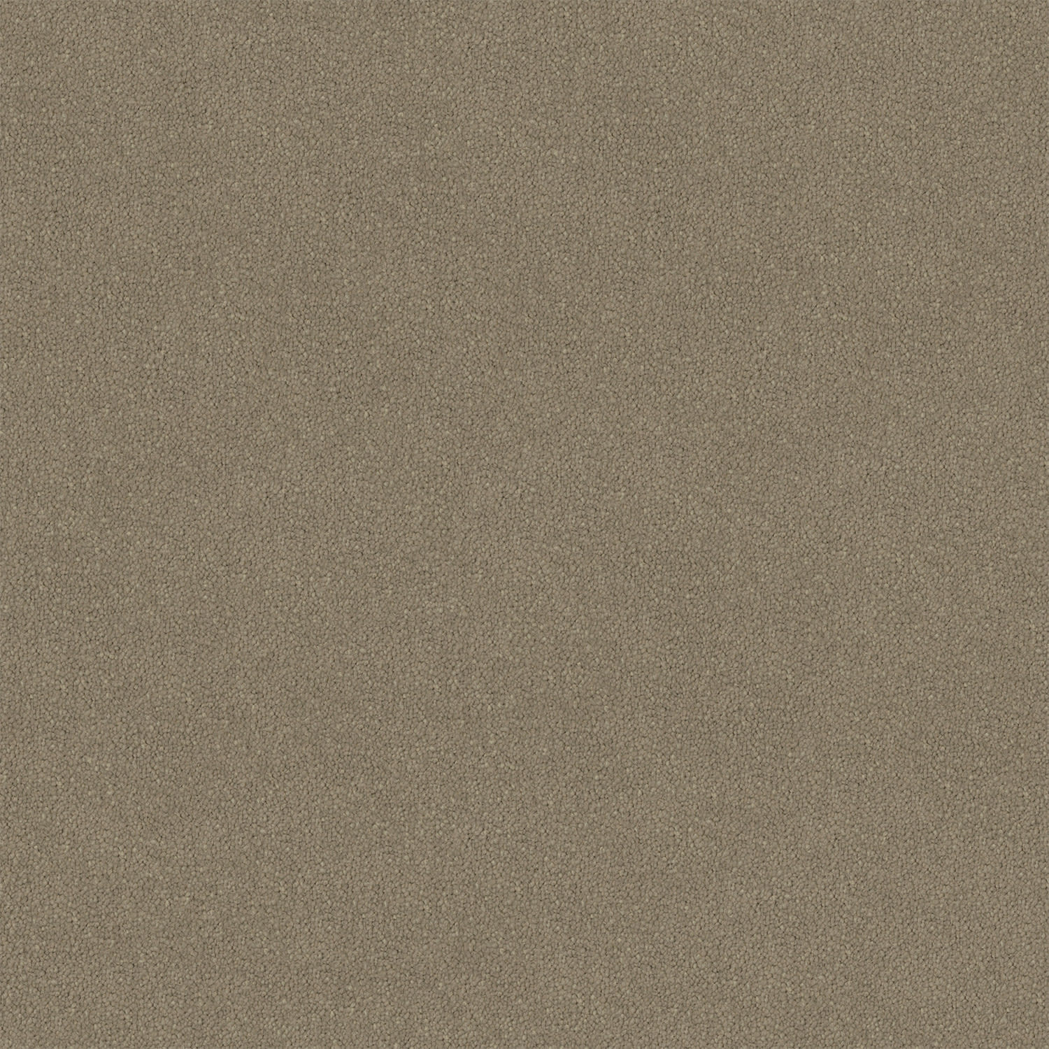 Knights Ridge carpet in Percival