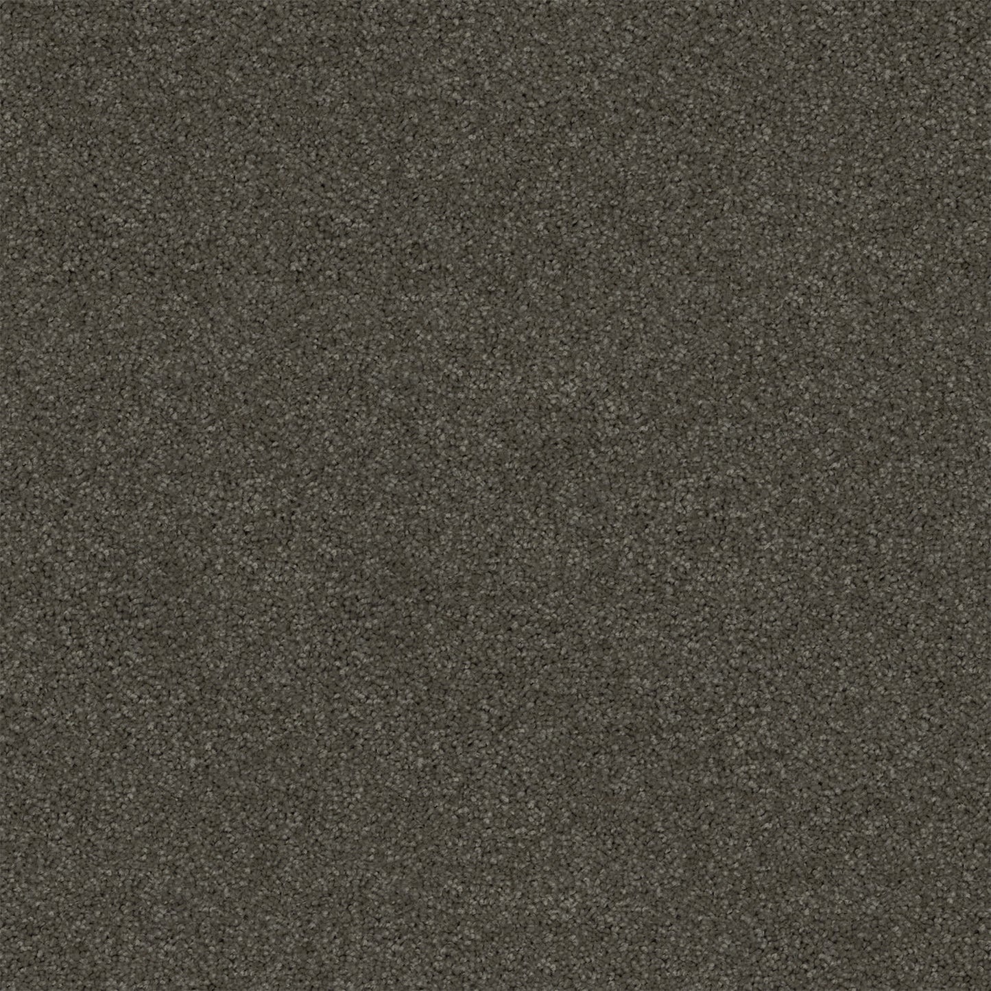 Revive carpet in Ironstone