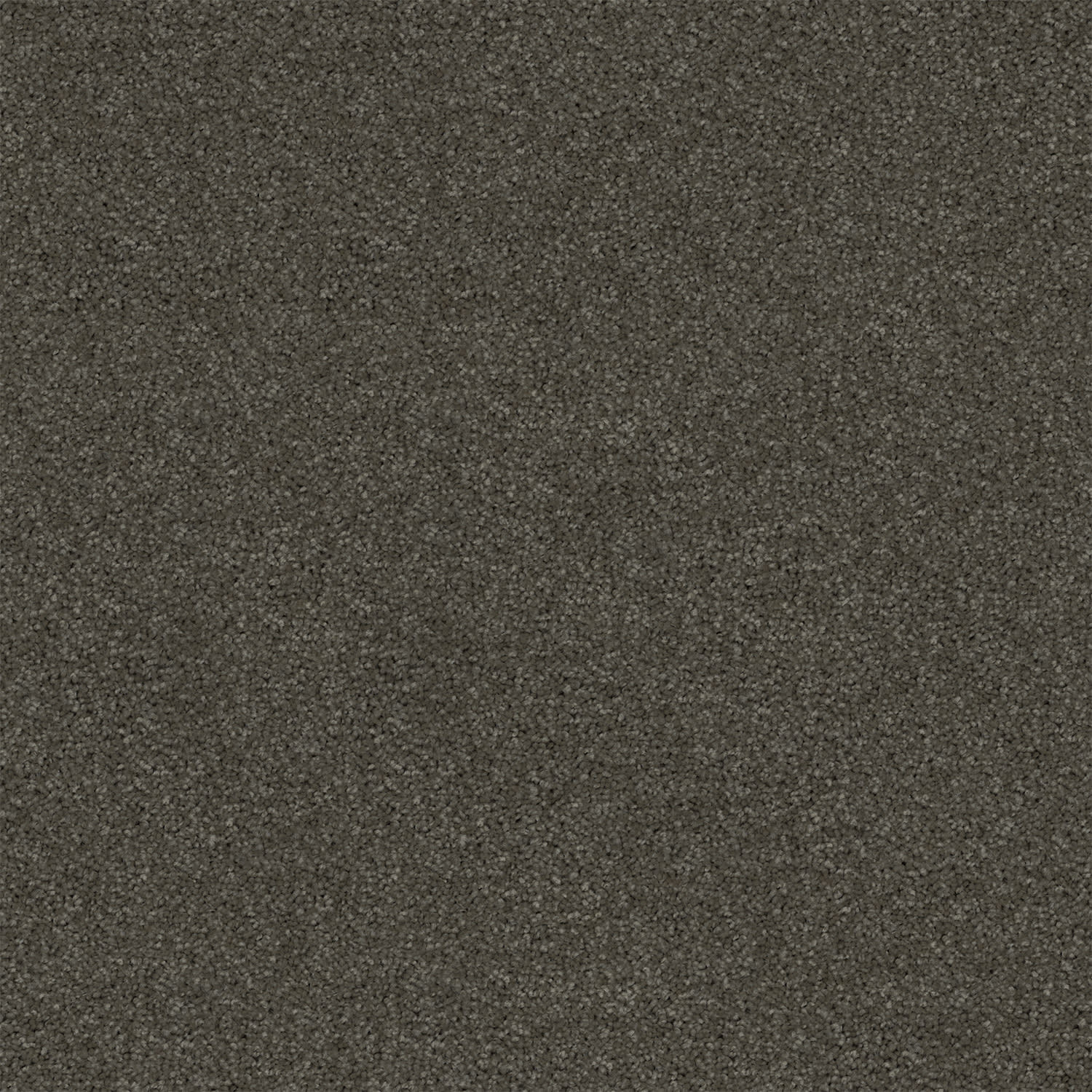 Revive carpet in Ironstone
