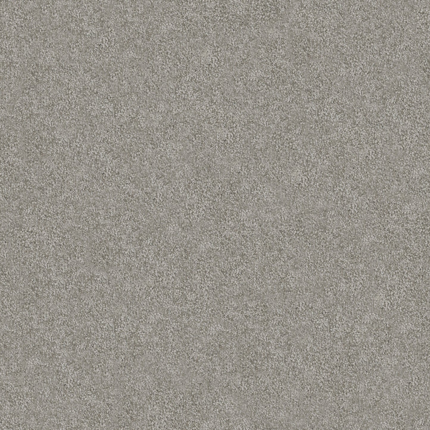 Tivoli carpet in Chai