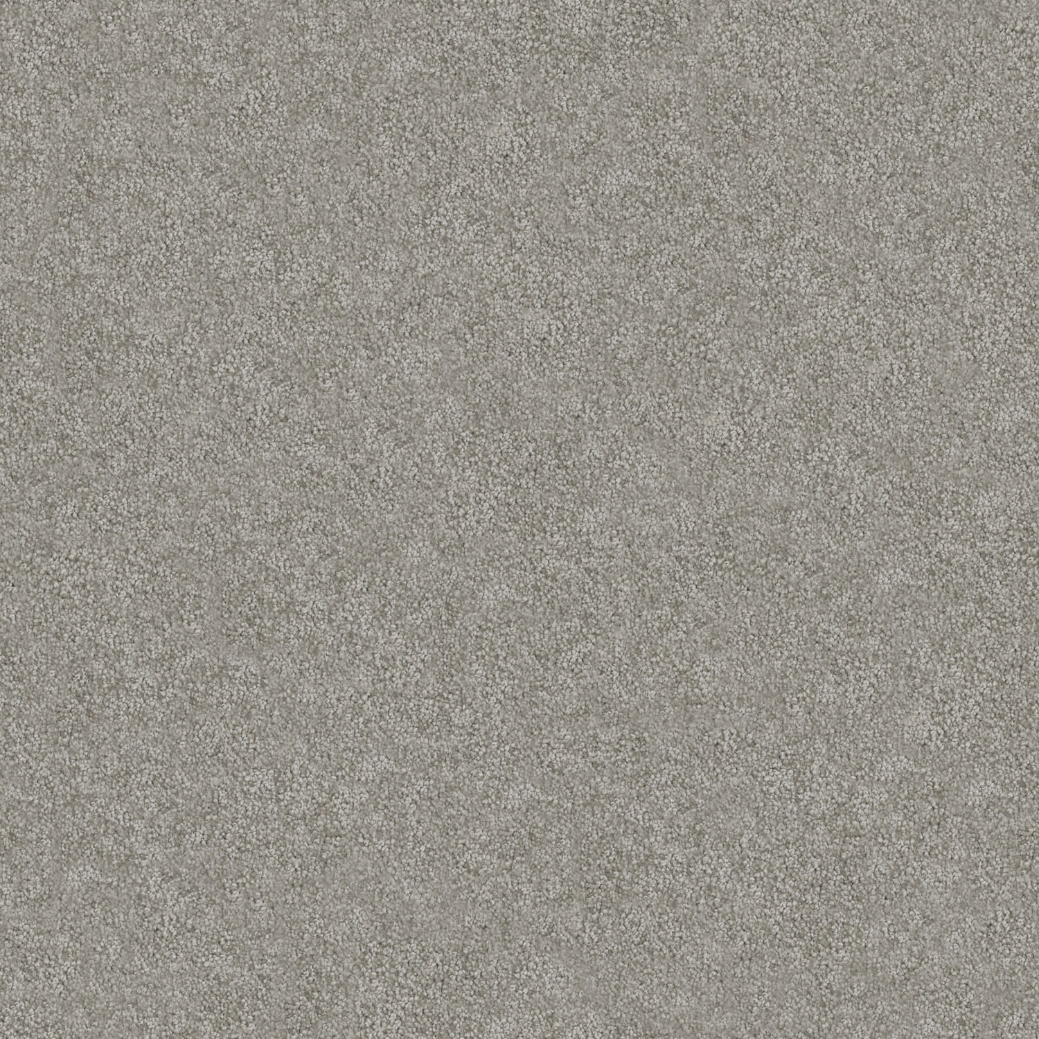 Tivoli carpet in Chai