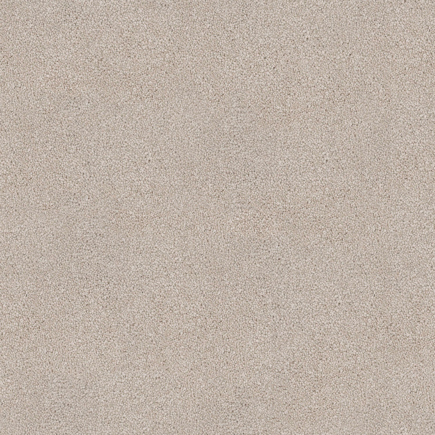 Barossa carpet in Clay