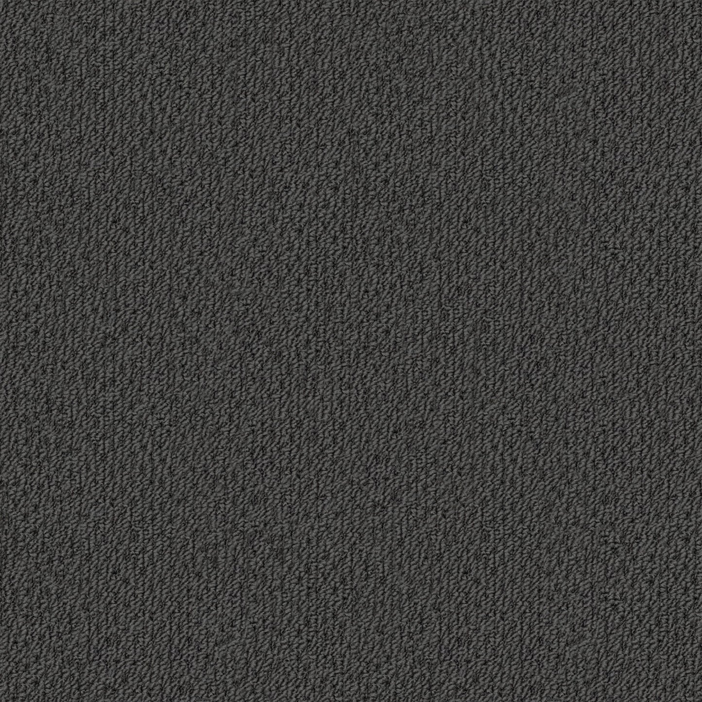 Phoenix carpet in Laveen