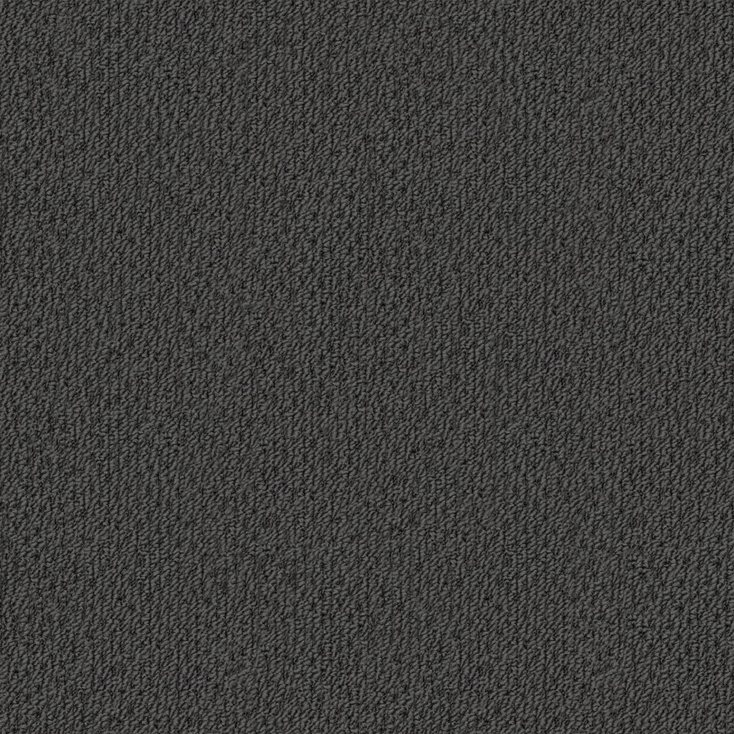 Phoenix carpet in Laveen