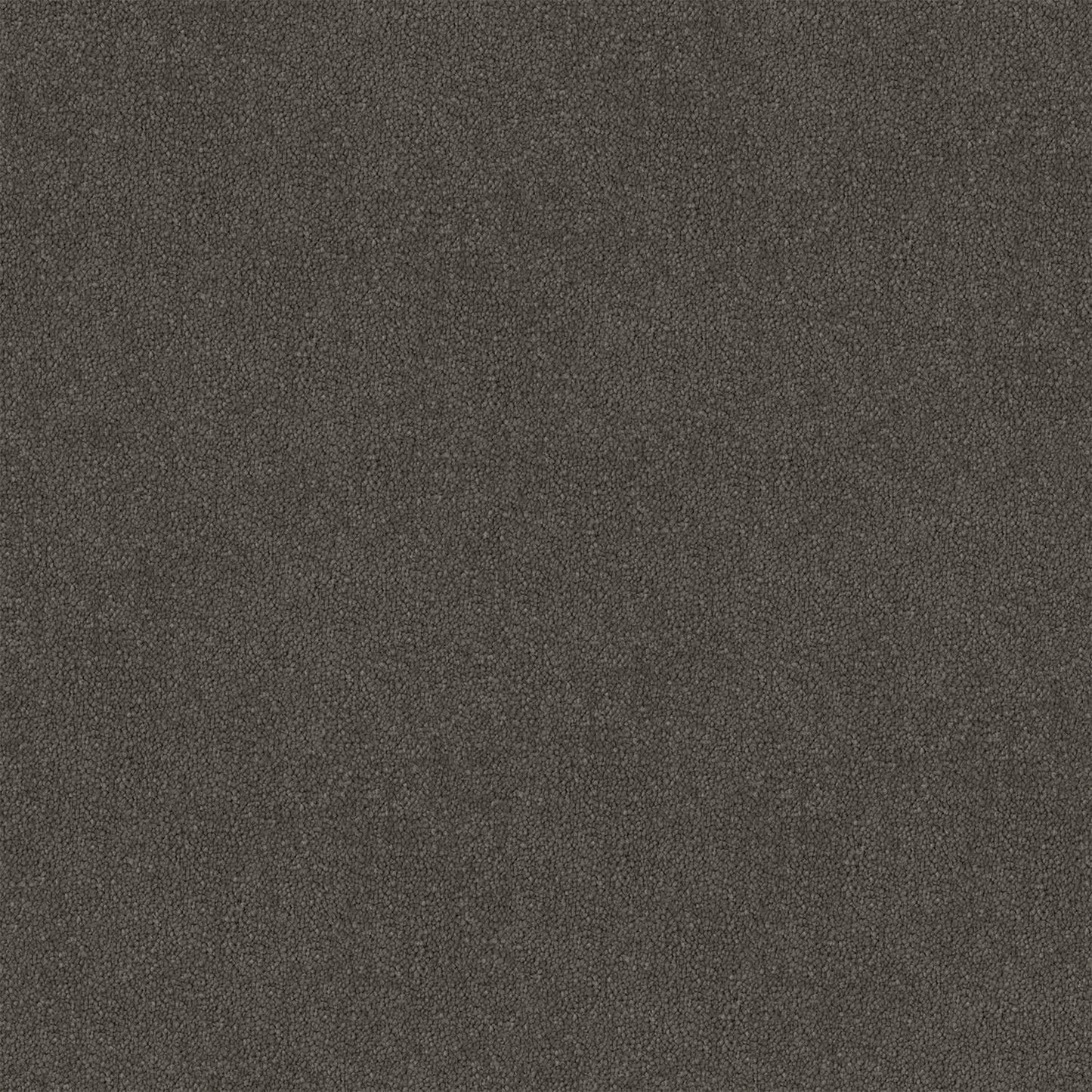 Armadale carpet in Grey