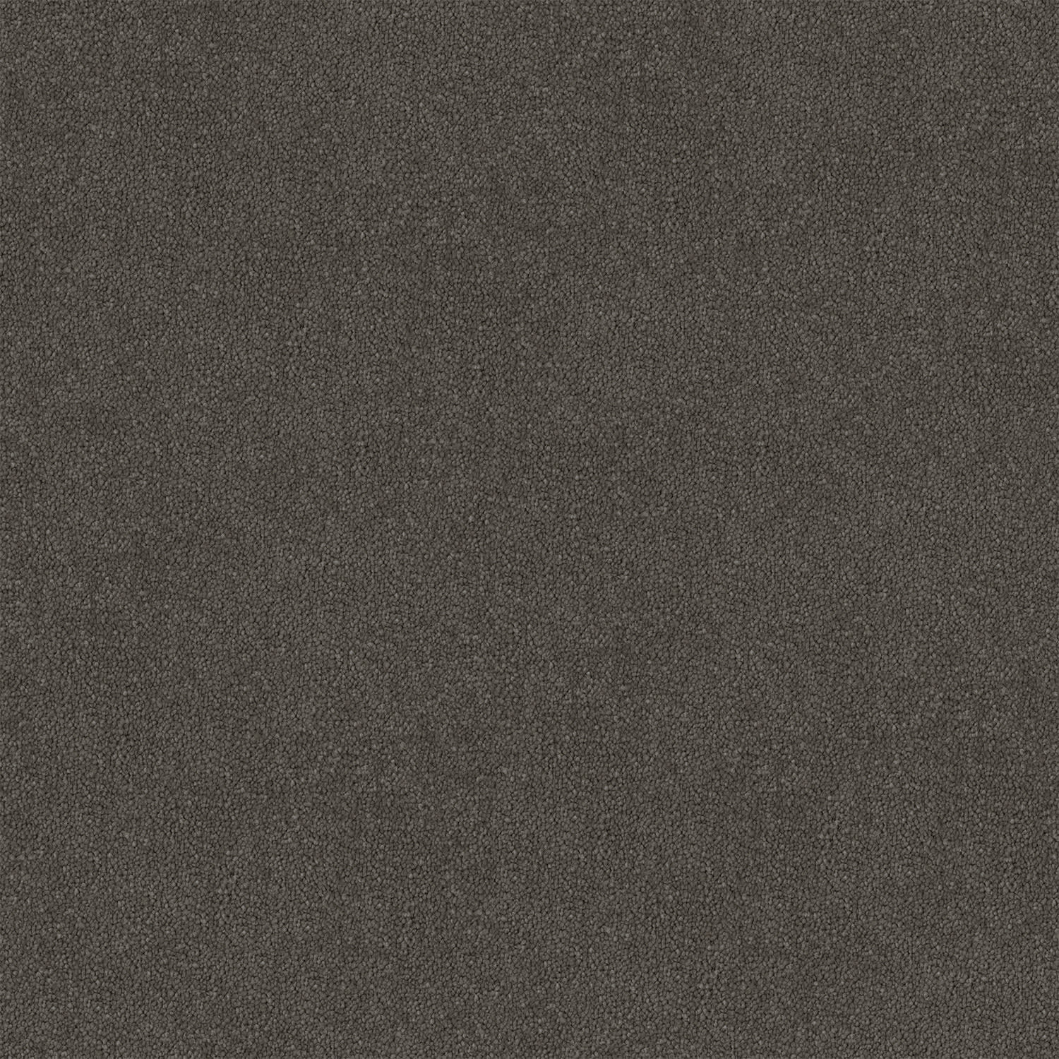 Armadale carpet in Grey