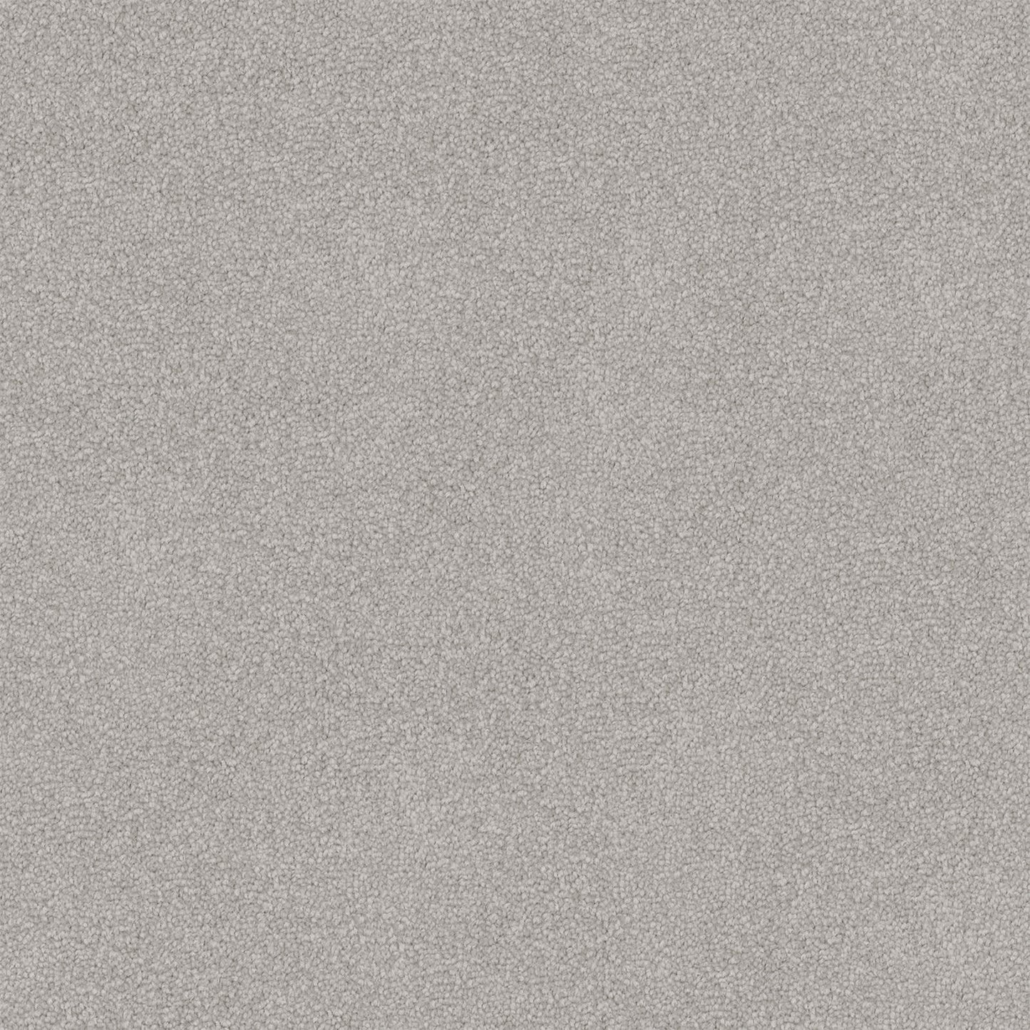 Infatuation carpet in Iced Slate