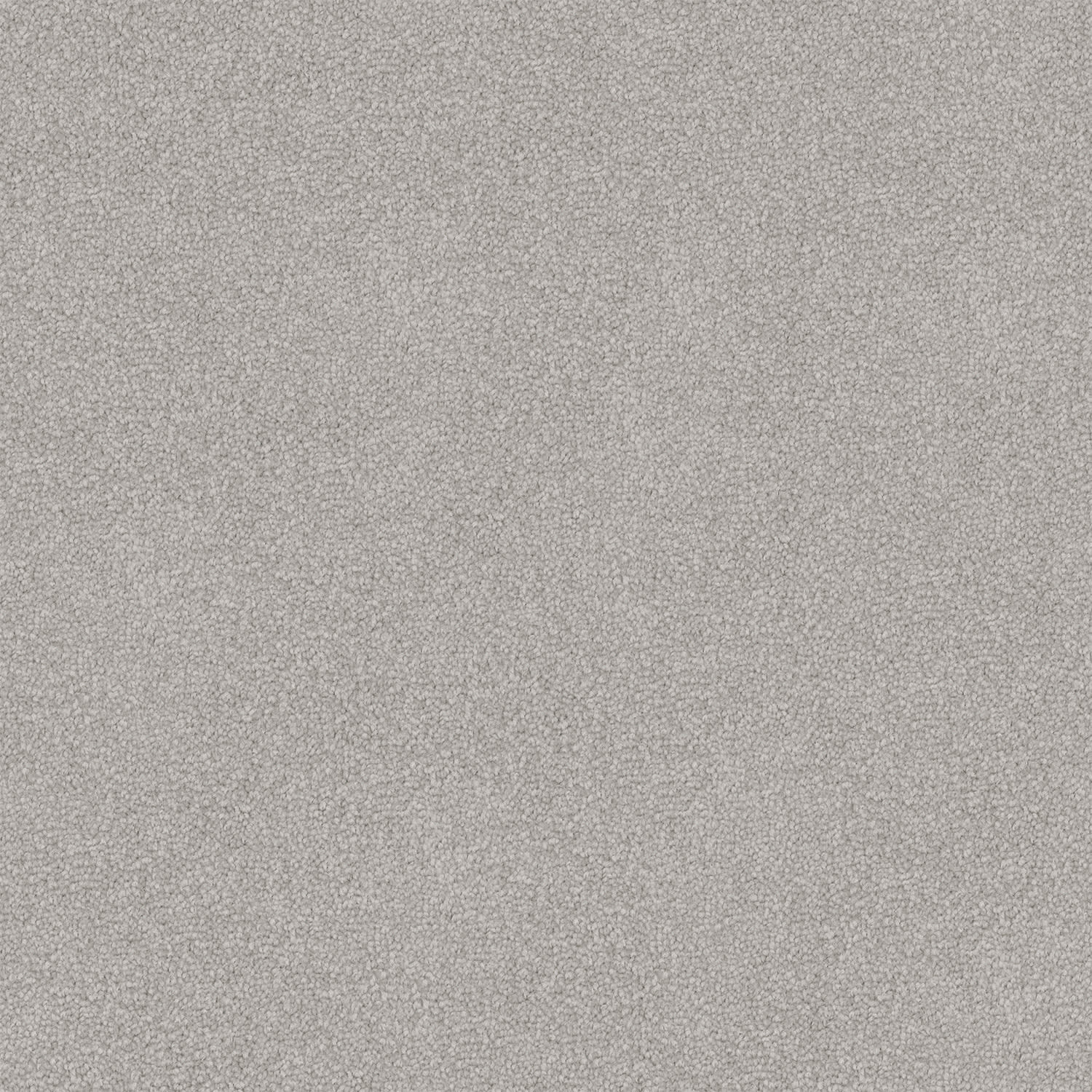 Infatuation carpet in Iced Slate