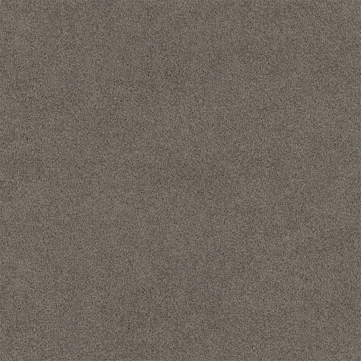 Lasting Touch carpet in Tinker