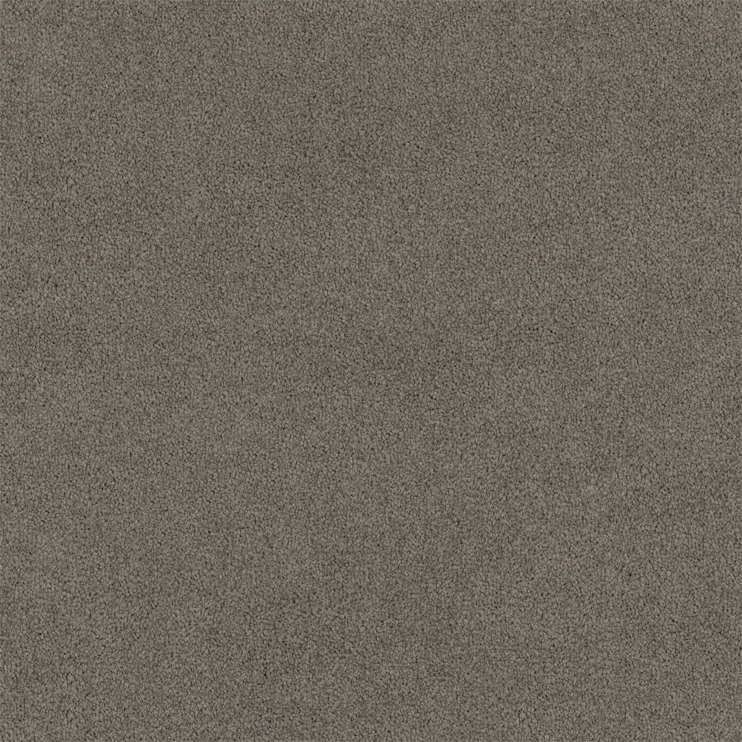 Lasting Touch carpet in Tinker