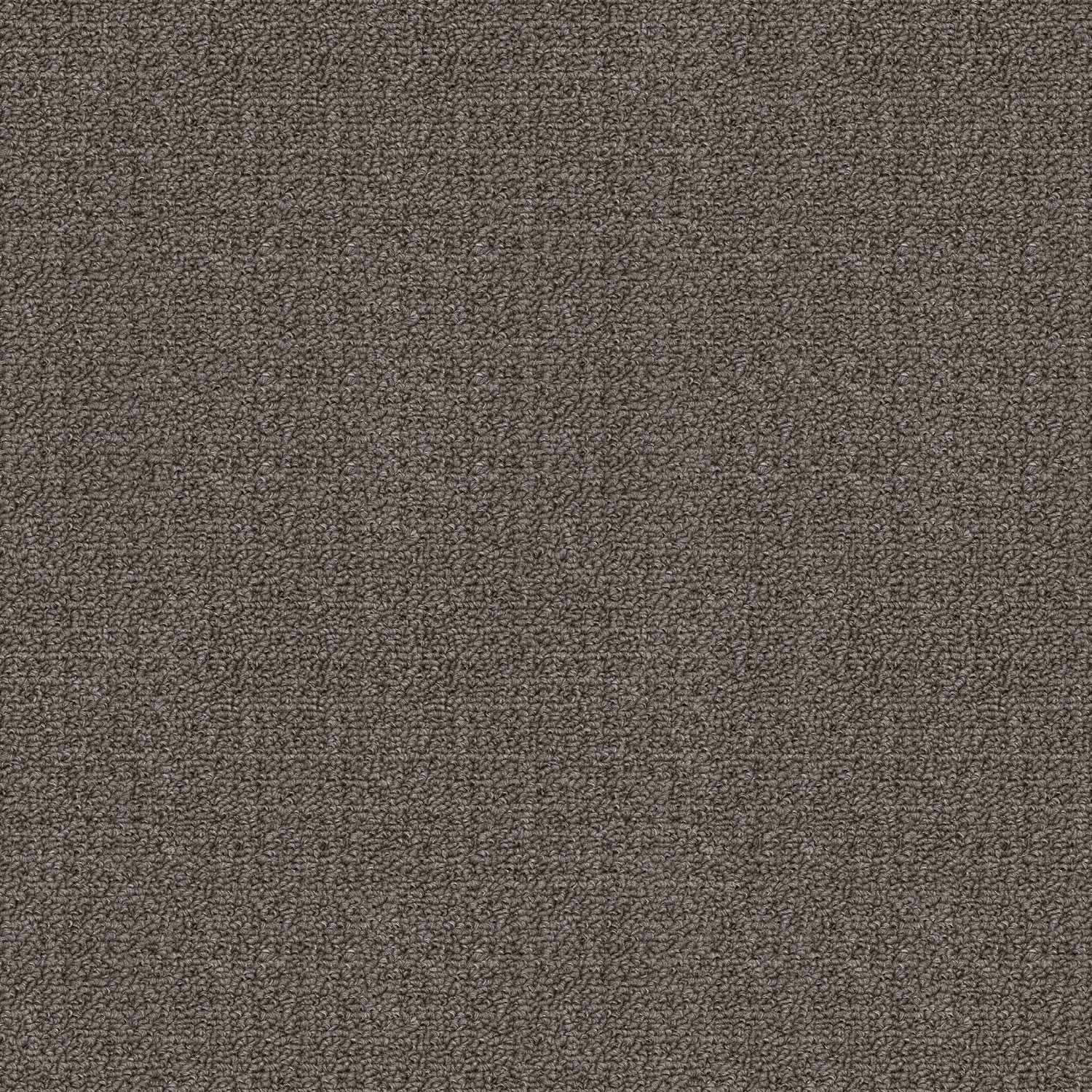 Revolution carpet in Funghi