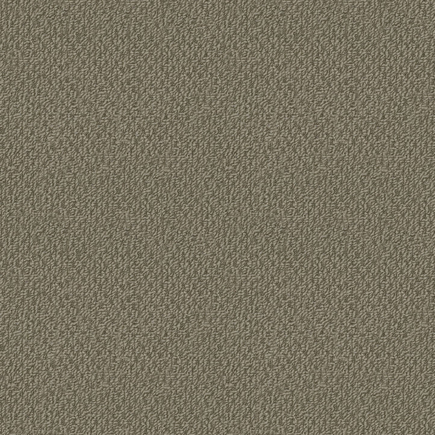 Phoenix carpet in Camelback
