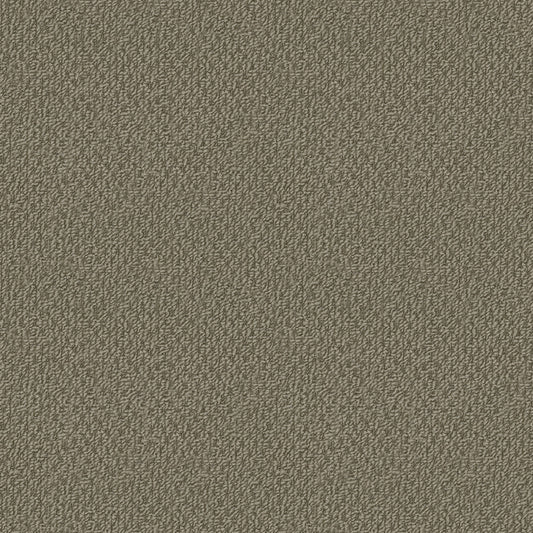 Phoenix carpet in Camelback