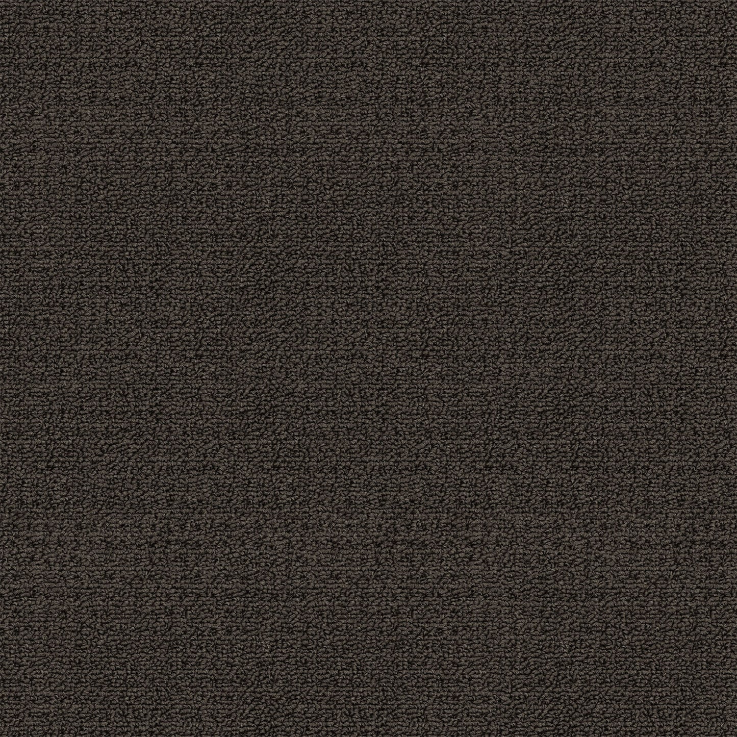 Revolution carpet in Eclipse