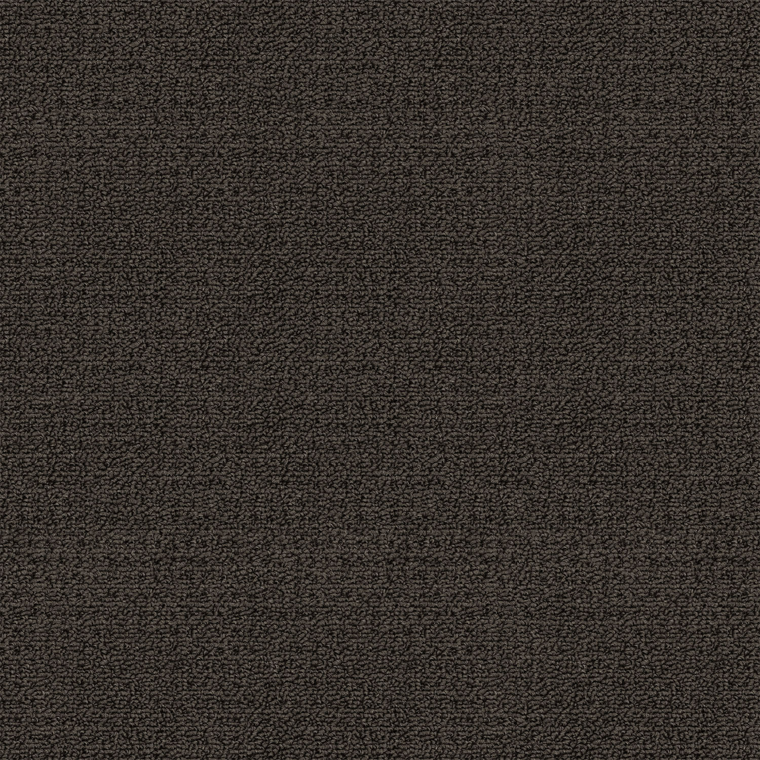 Revolution carpet in Eclipse