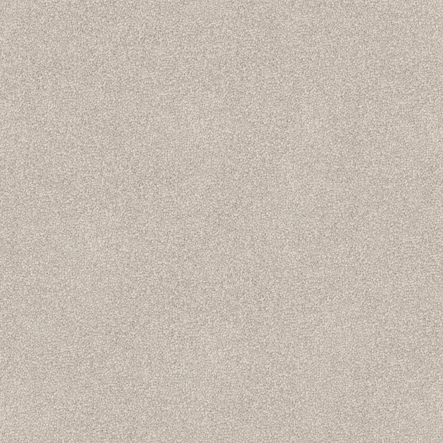 Dawn Rise carpet in Earth Tone