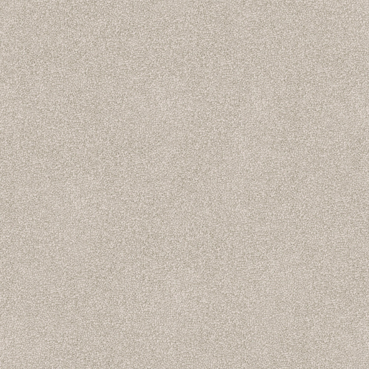 Dawn Rise carpet in Earth Tone