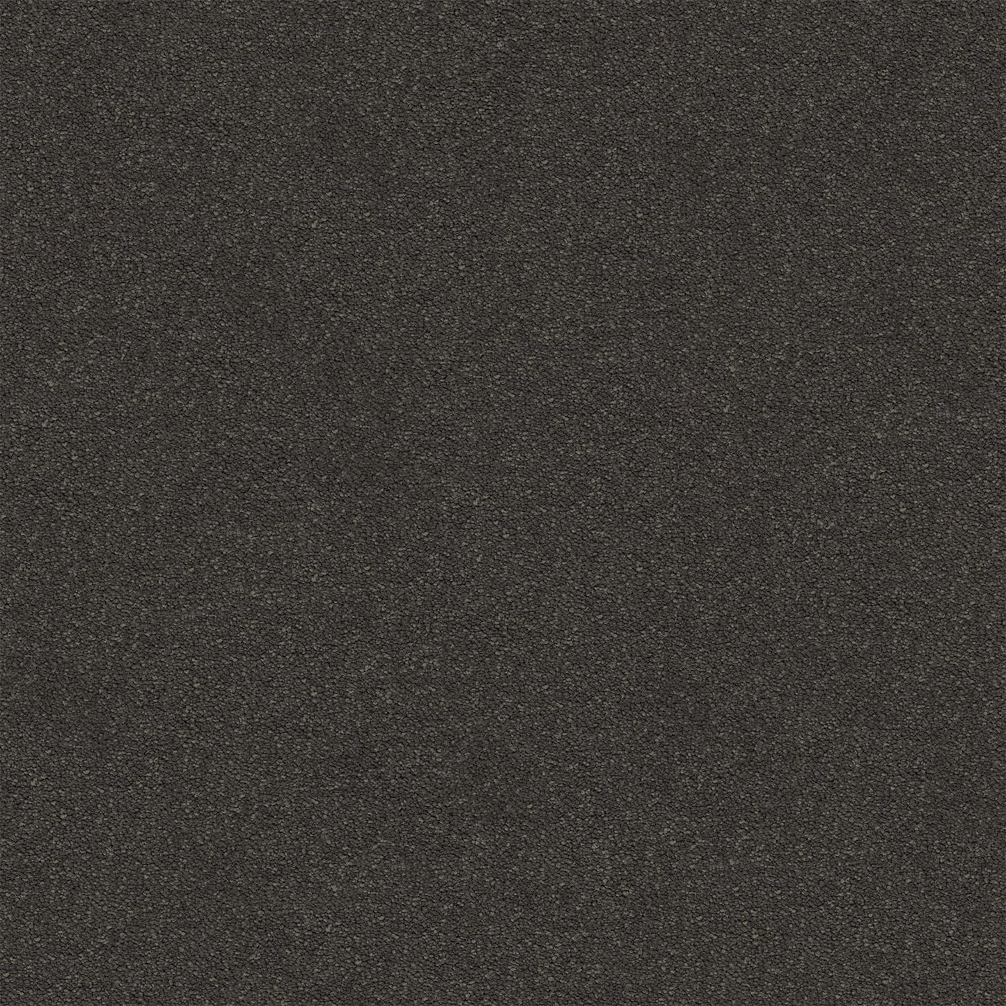 Dream Shadows carpet in Peat