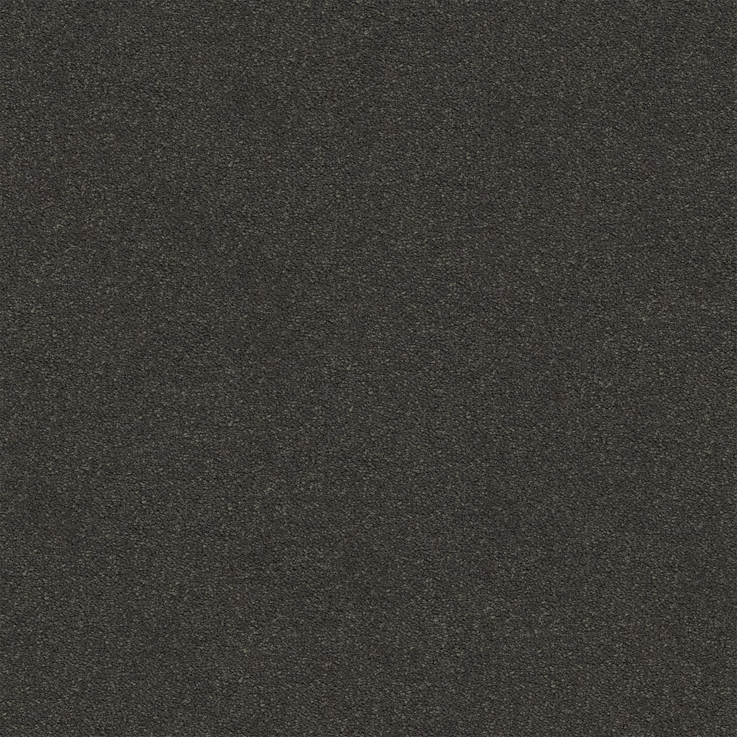 Dream Shadows carpet in Peat