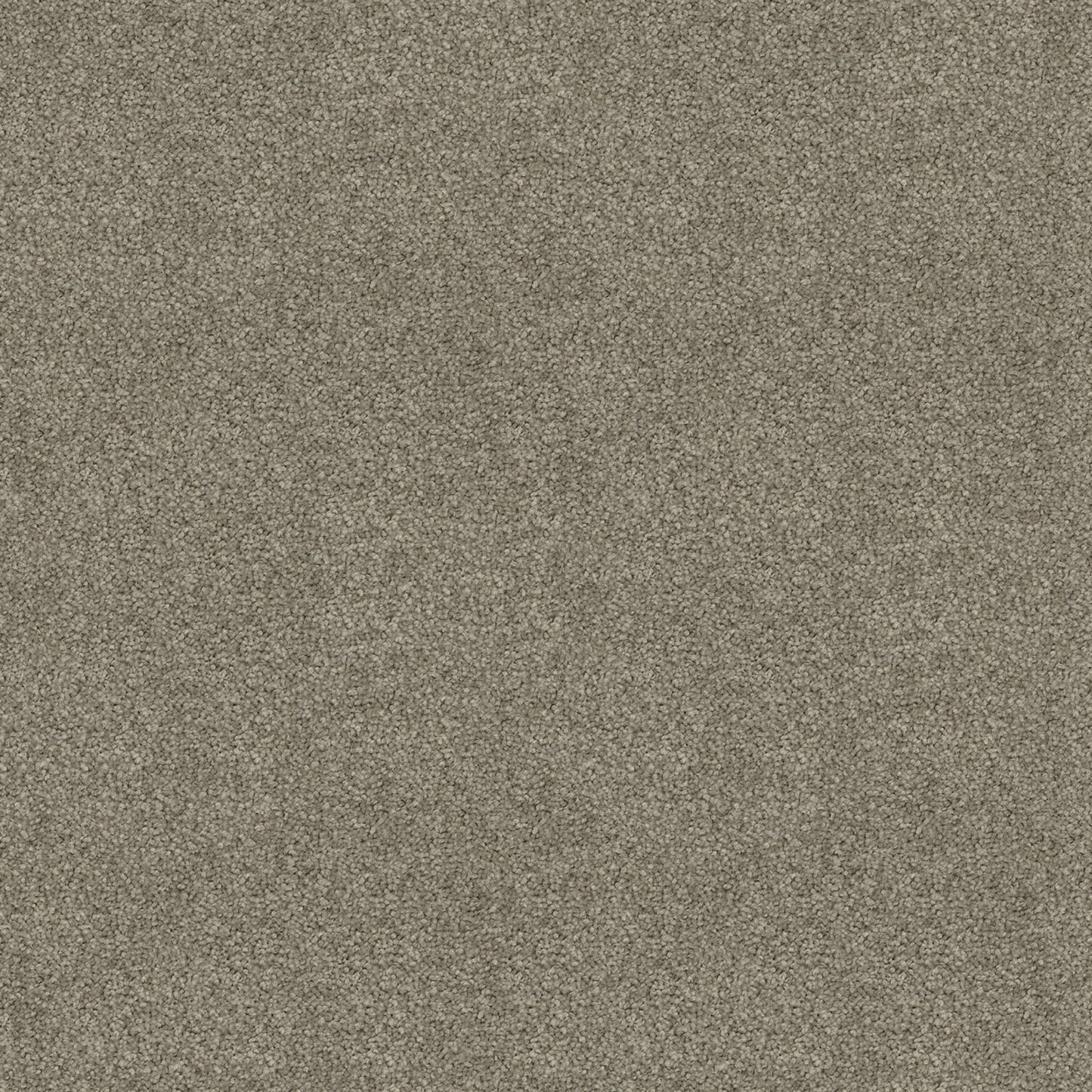 Silk Cloud carpet in Stone Stipple