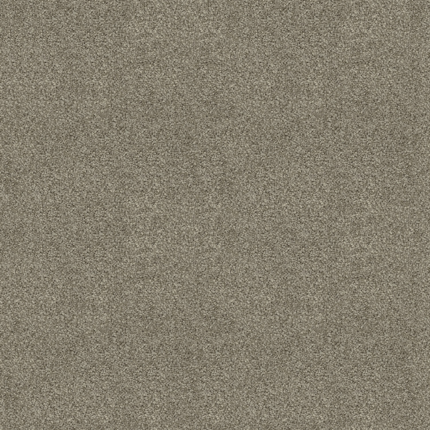 Silk Cloud carpet in Stone Stipple