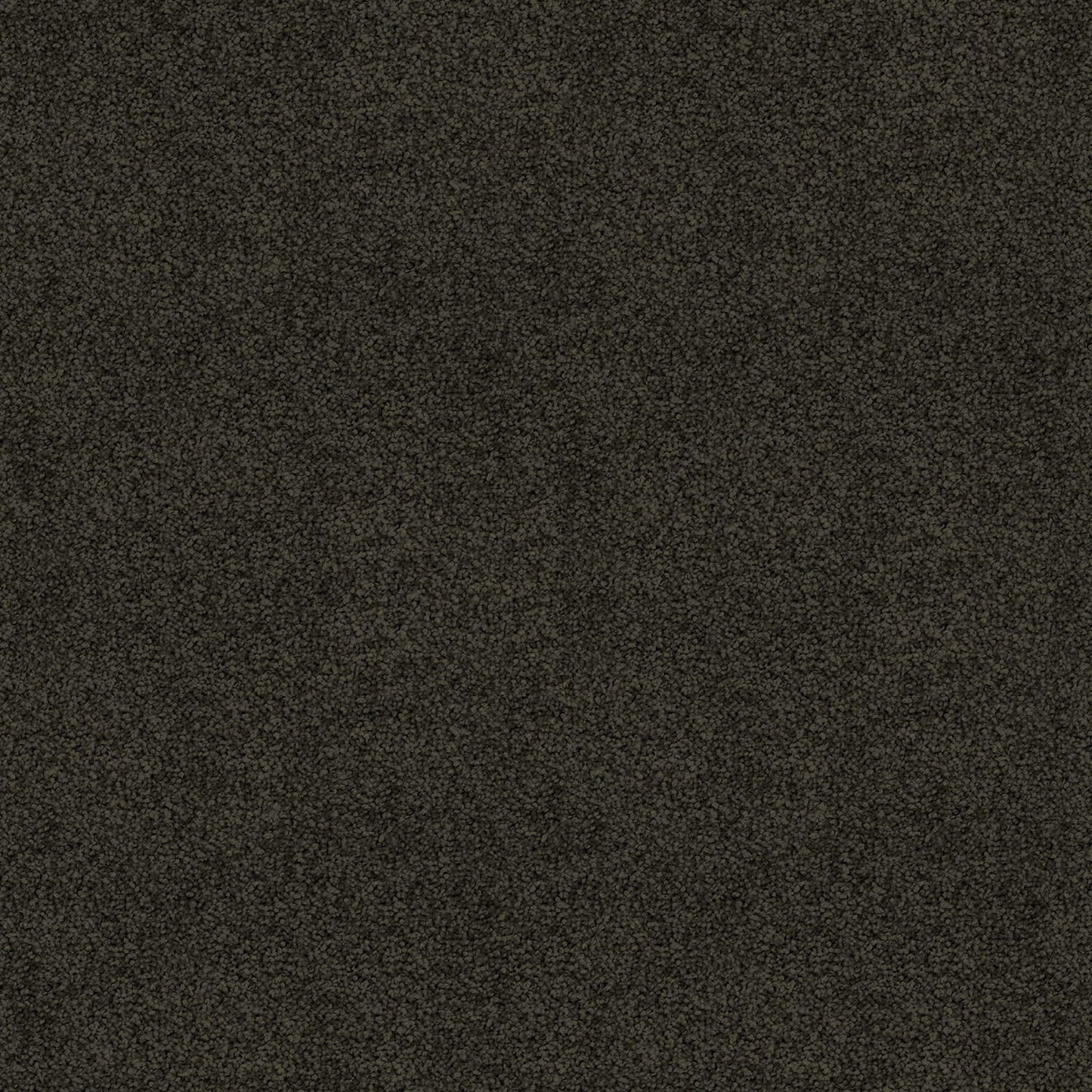 Silk Cloud carpet in Coal