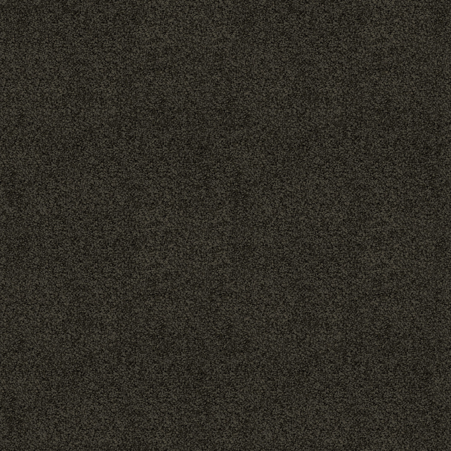 Silk Cloud carpet in Coal