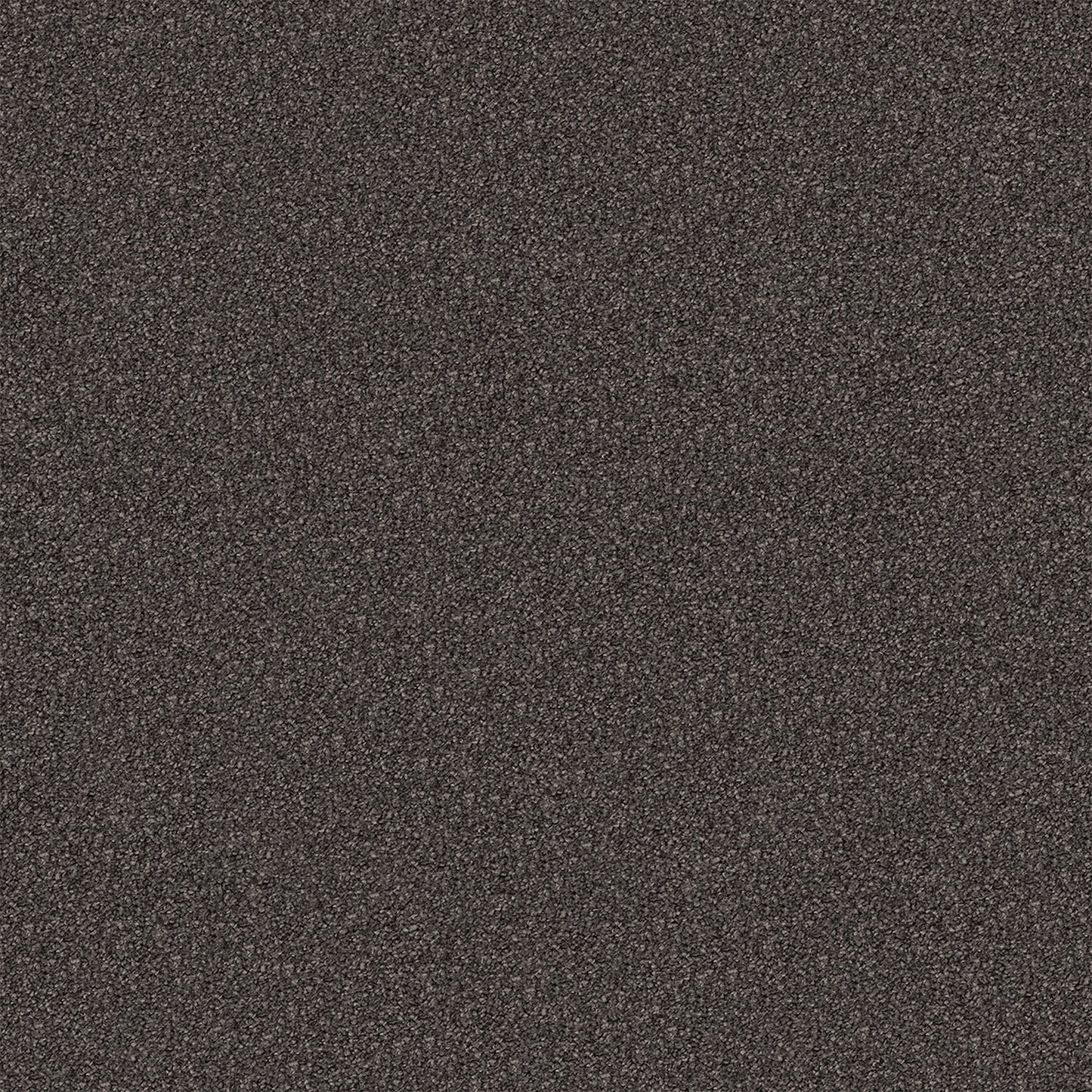 Regal Elegance carpet in Possum Tail