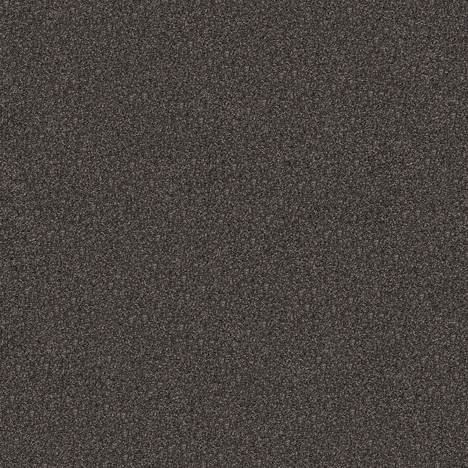 Regal Elegance carpet in Possum Tail