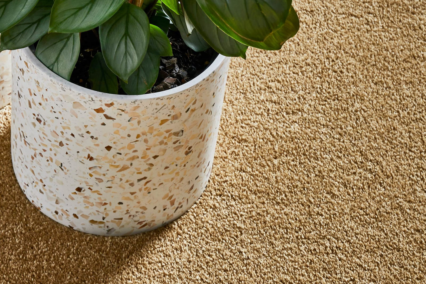 Freedom carpet by Redbook – room scene