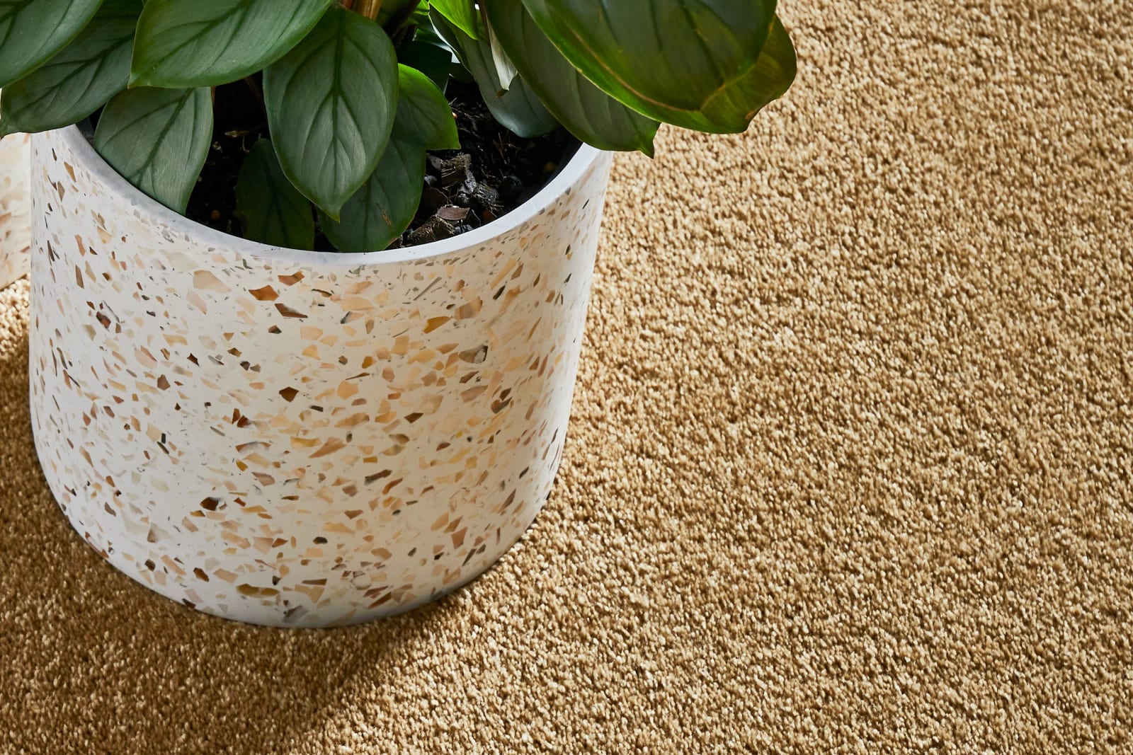Freedom carpet by Redbook – room scene