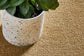 Freedom carpet by Redbook – room scene