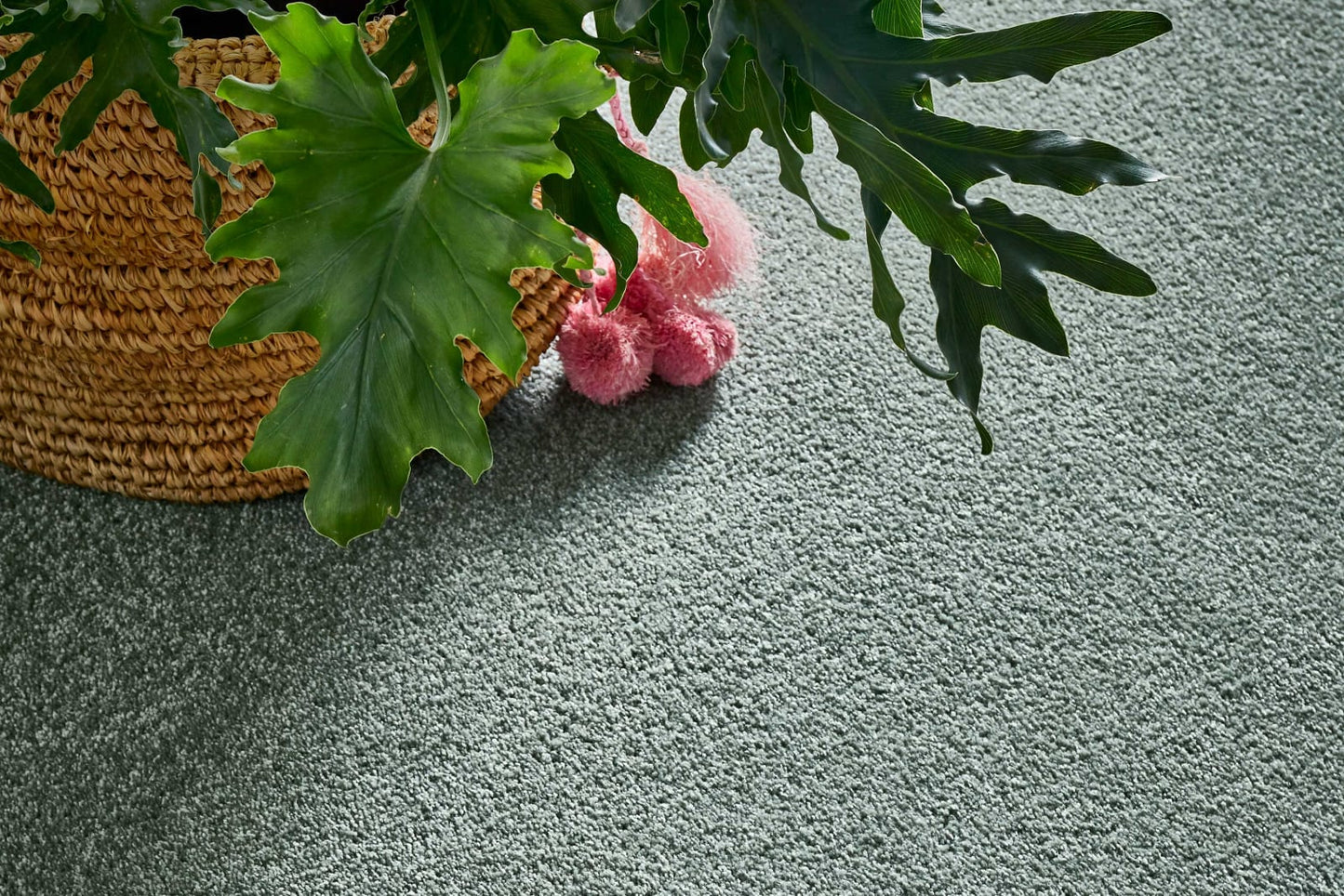 Freedom carpet by Redbook – room scene