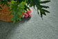 Freedom carpet by Redbook – room scene