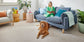 Classic Contours carpet by Redbook