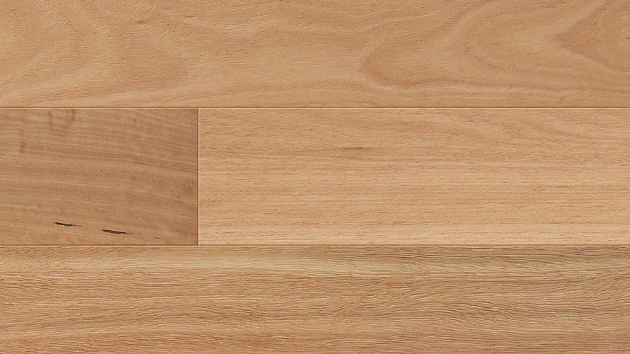 Australian Heritage Engineered Timber 14mm - Blackbutt – swatch