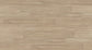 Robust Vinyl Plank 2mm - Palm House – room scene 3