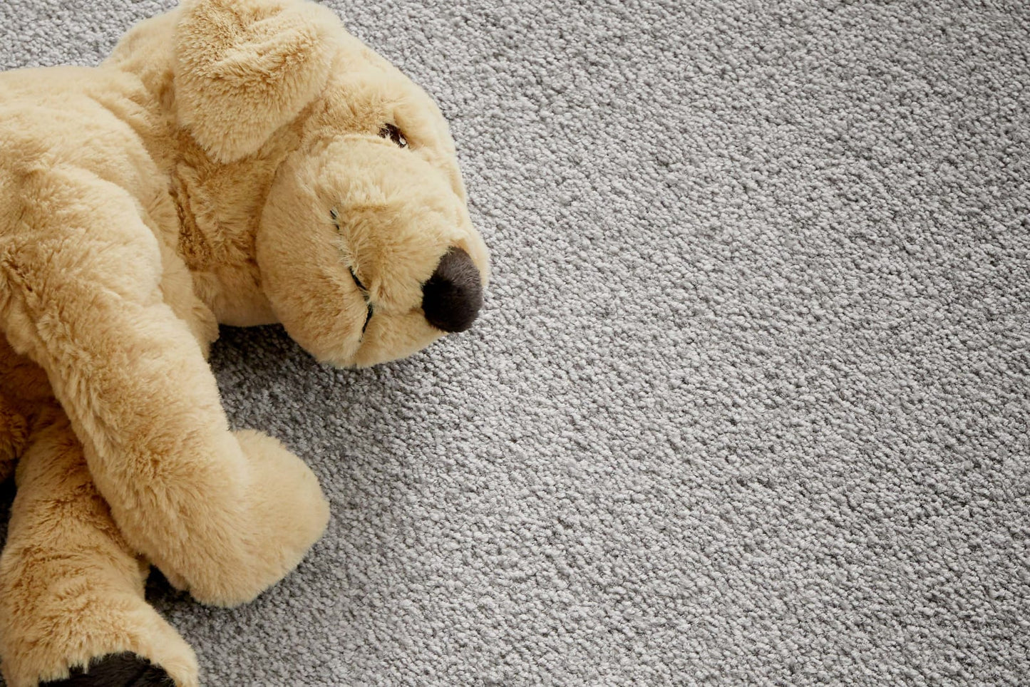 Infatuation carpet by Redbook – room scene