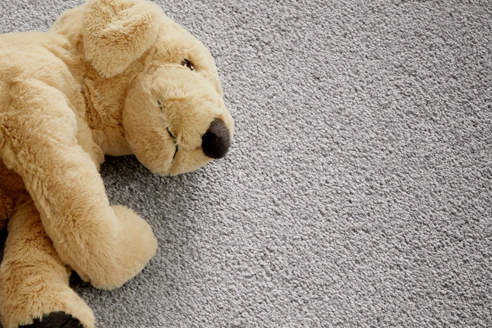 Infatuation carpet by Redbook – room scene