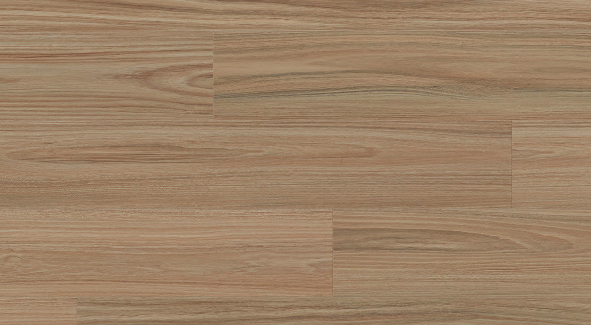 Enchanted Hybrid 7.5mm - Hylia Blackbutt – room scene 2