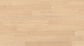 Beauty Engineered Timber 14mm - Coastal Pale – room scene 2