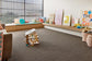 Lasting Touch carpet by Redbook – room scene