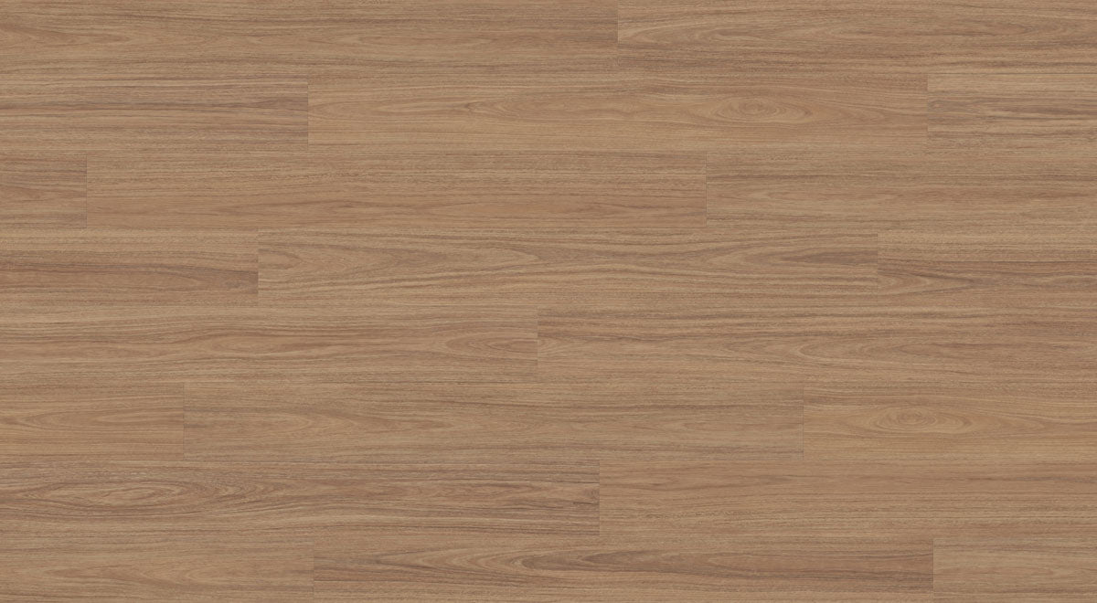 Scenic Hybrid 10mm - Greenfield Spotted Gum – room scene 2