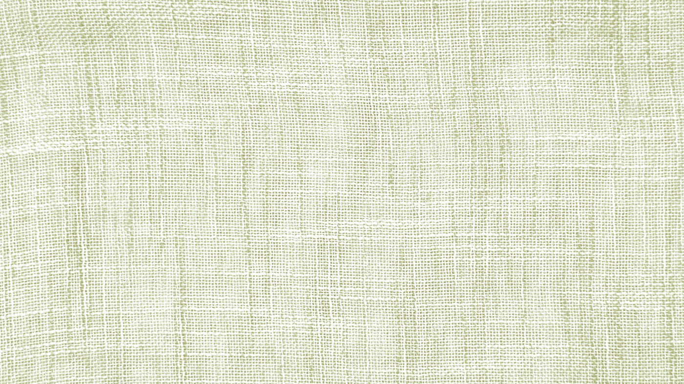 Verne curtain fabric in Mint