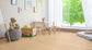 Profuse Laminate 12mm - Southern Blackbutt – room scene 1