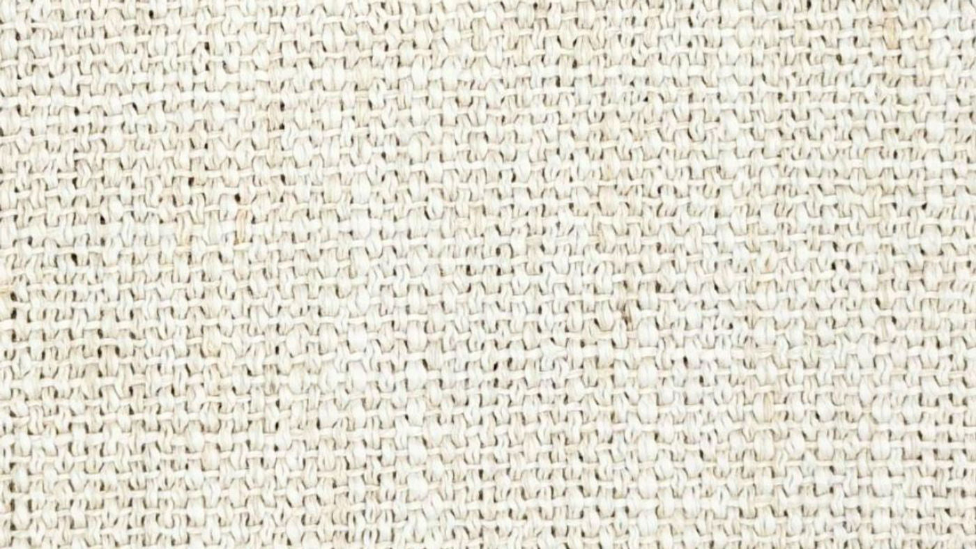 Spice curtain fabric in Parchment