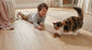 Ocean Vinyl Plank 4.5mm - Lily Blackbutt – room scene 2